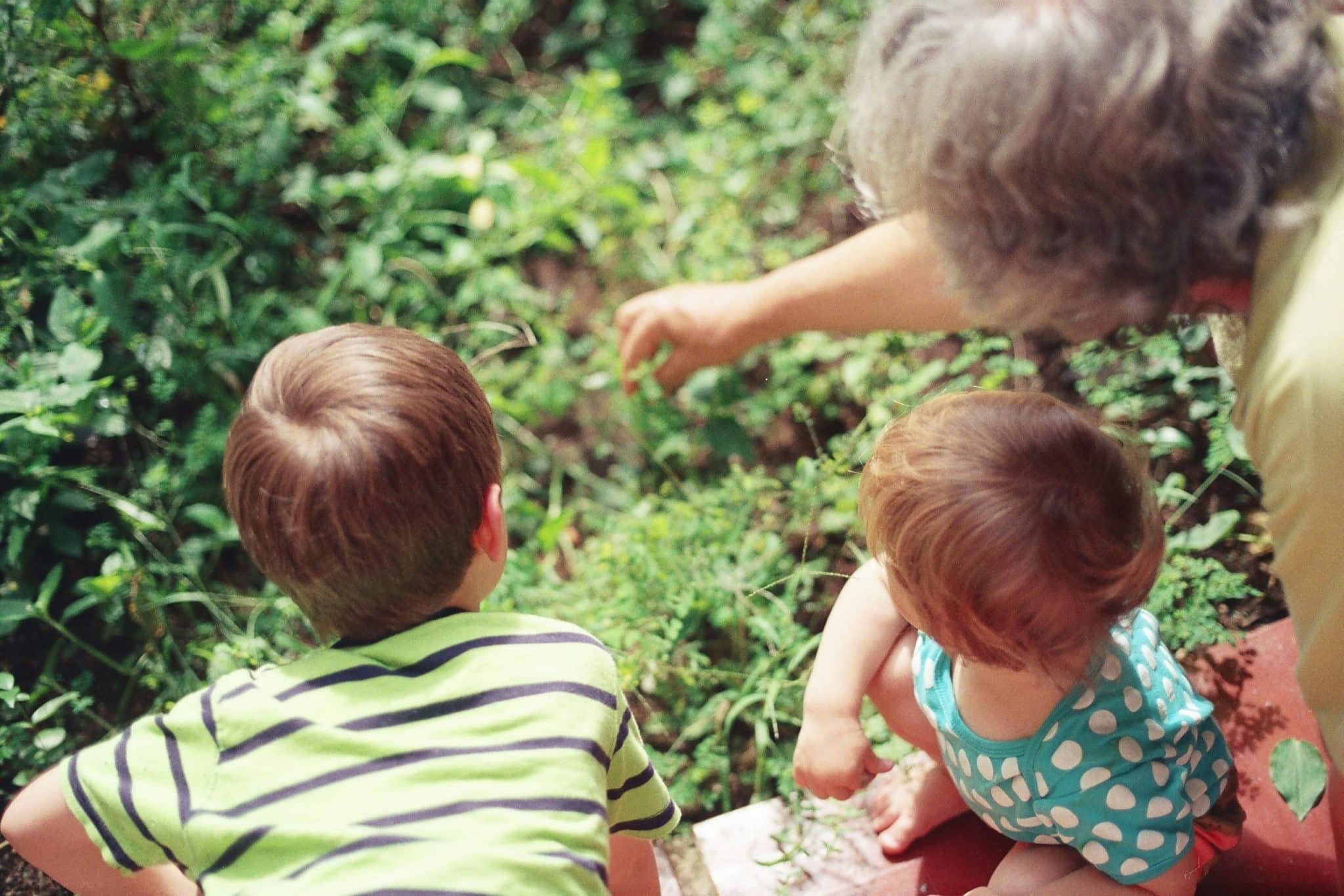 grandparent playing with grandchildren